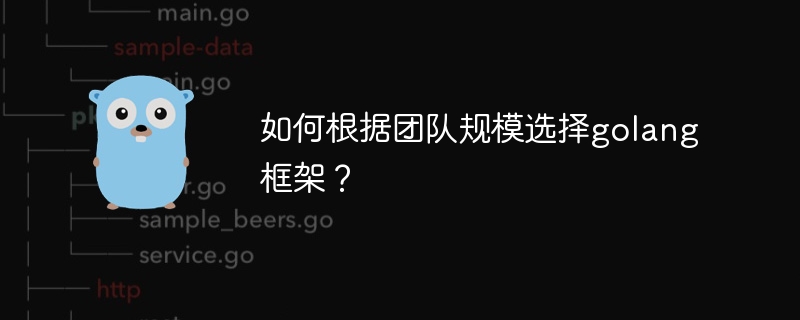 如何根据团队规模选择golang框架？