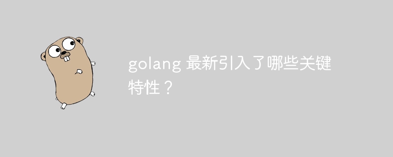 golang 最新引入了哪些关键特性？