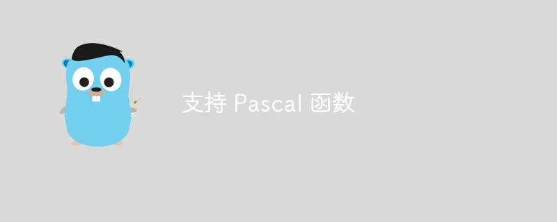 支持 Pascal 函数