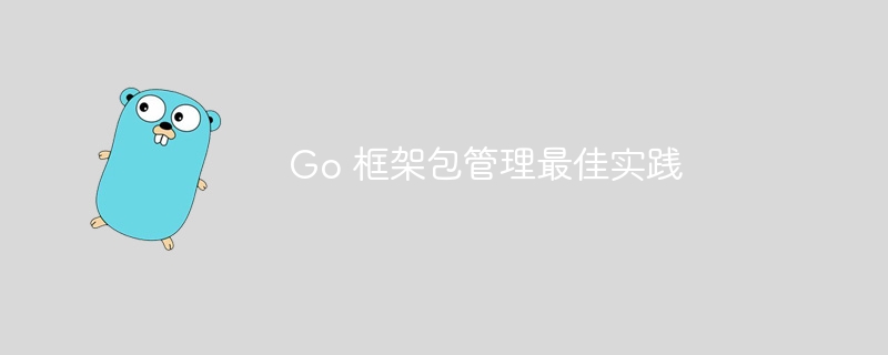 Go 框架包管理最佳实践