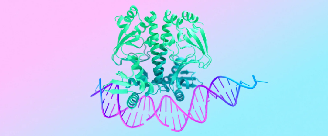 AlphaFold 3 向解码分子行为和生物计算迈出重要一步，Nature 子刊锐评