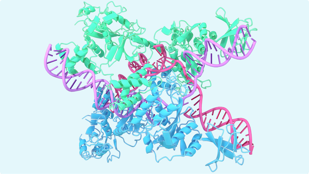 AlphaFold 3 向解码分子行为和生物计算迈出重要一步，Nature 子刊锐评