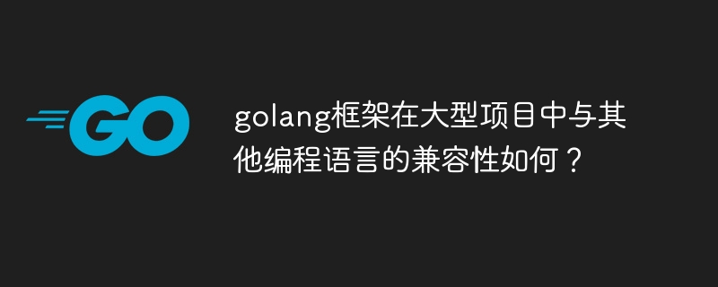 golang框架在大型项目中与其他编程语言的兼容性如何？