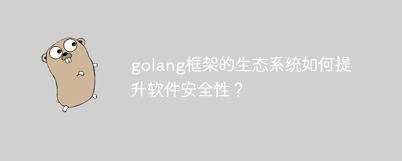 golang框架的生态系统如何提升软件安全性？