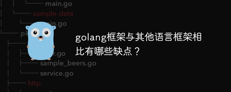 golang框架与其他语言框架相比有哪些缺点？