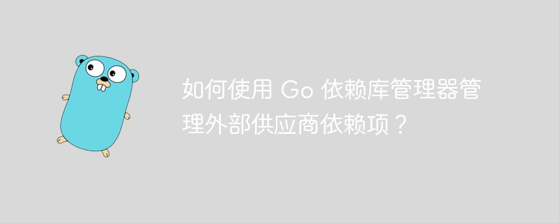 如何使用 Go 依赖库管理器管理外部供应商依赖项？