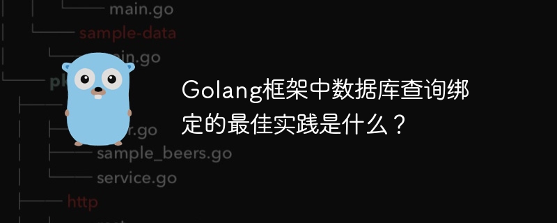 Golang框架中数据库查询绑定的最佳实践是什么？