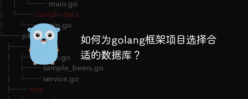 如何为golang框架项目选择合适的数据库？