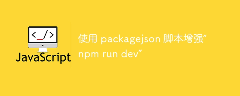 使用 packagejson 脚本增强“npm run dev”