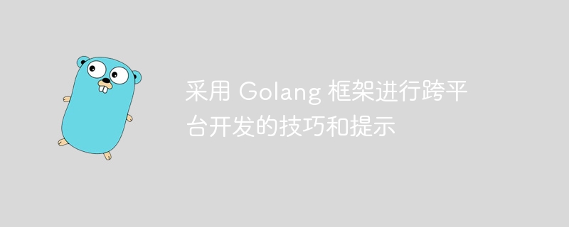 采用 Golang 框架进行跨平台开发的技巧和提示