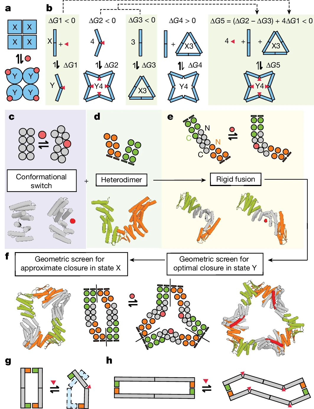 AI从头设计蛋白质「开关」，蛋白质设计的惊人突破，David Baker研究登Nature