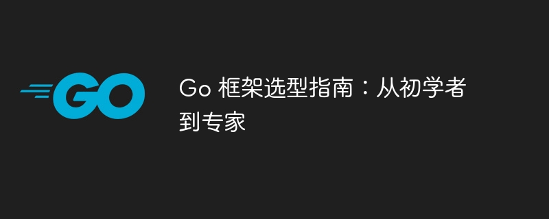 Go 框架选型指南：从初学者到专家