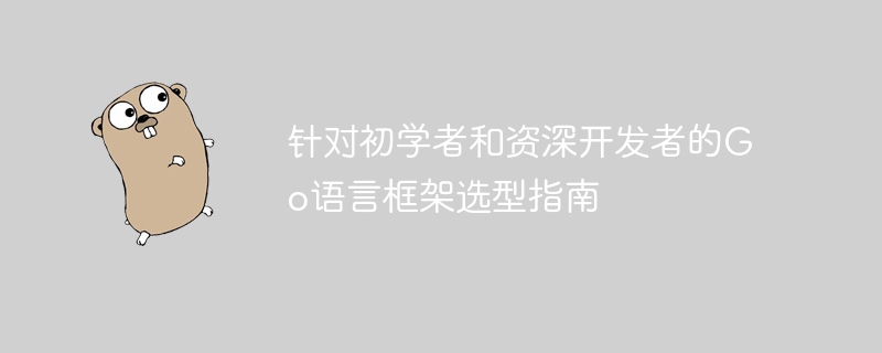 针对初学者和资深开发者的Go语言框架选型指南