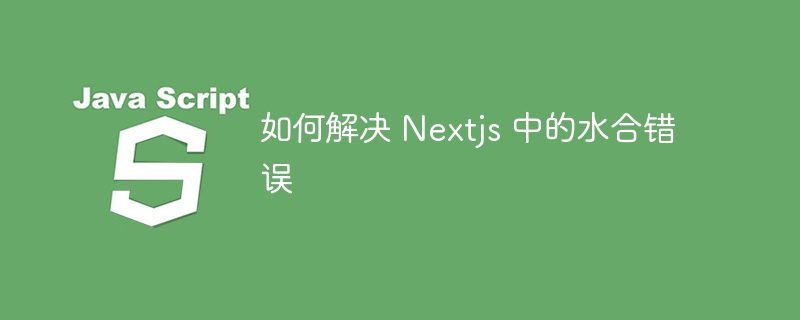 如何解决 Nextjs 中的水合错误