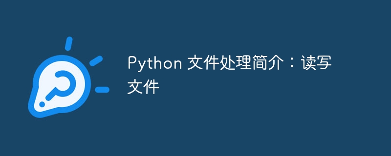 Python 文件处理简介：读写文件