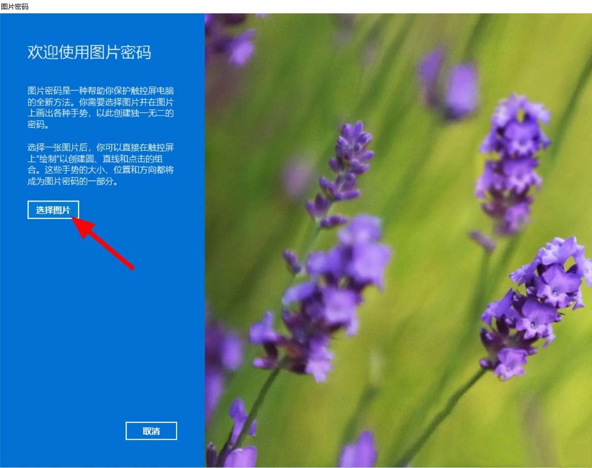 Win11怎么添加图片密码 Win11添加图片密码教程