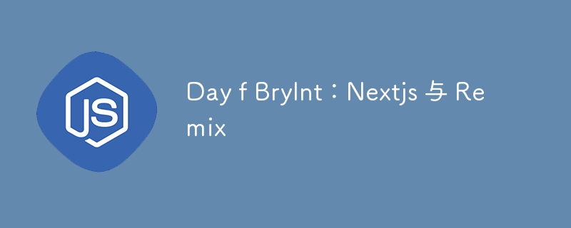 Day f Brylnt：Nextjs 与 Remix