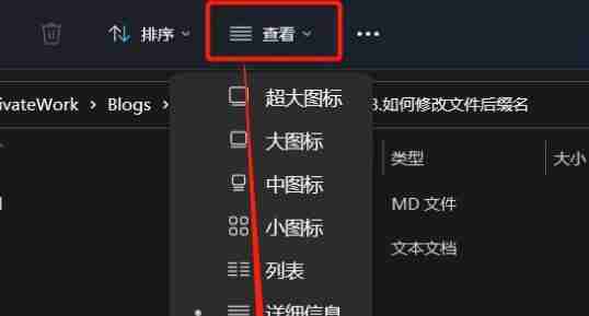 Win11文件后缀名怎么改 Win11更改文件后缀教程