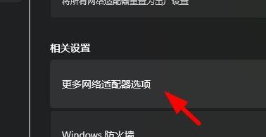 Win11怎么打开更多网络适配器选项 