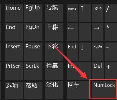 win11笔记本键盘打不了字按哪个键恢复 