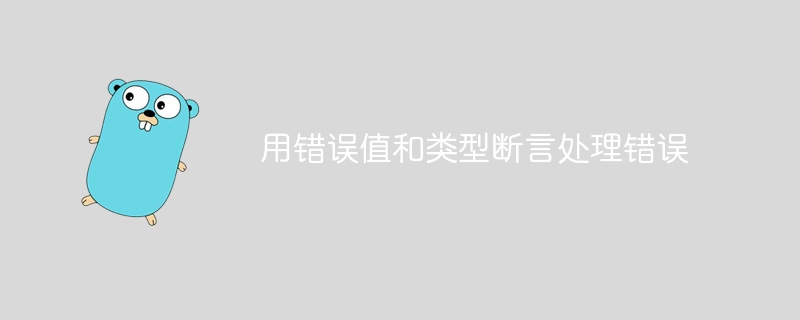 用错误值和类型断言处理错误