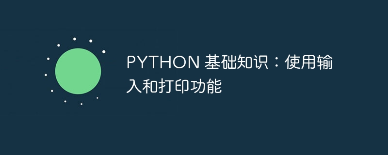 PYTHON 基础知识：使用输入和打印功能