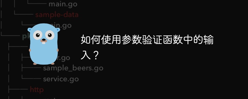 如何使用参数验证函数中的输入？