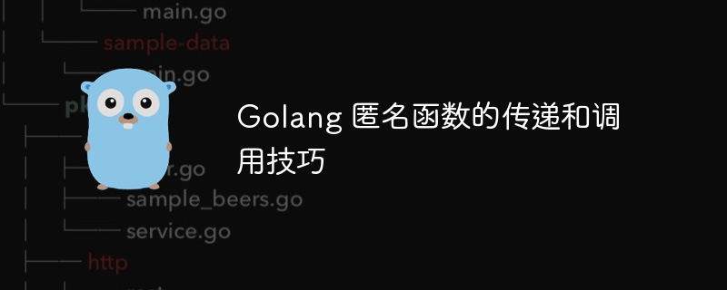 Golang 匿名函数的传递和调用技巧