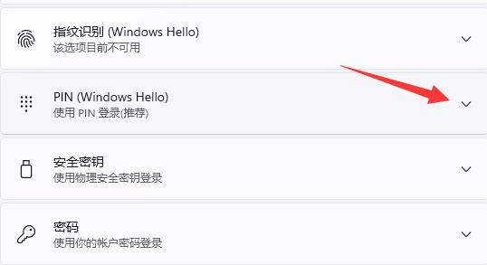 Win11怎么更改PIN码 Win11更改PIN码方法