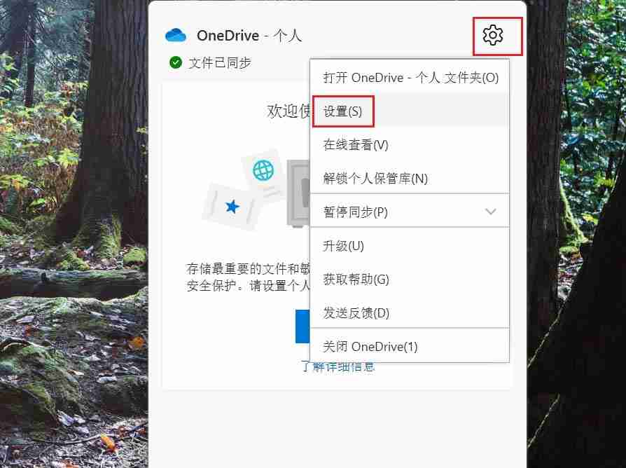 OneDrive个人保管库怎么自动锁定 win11系统自动锁定OneDrive个人保管库的方法教程