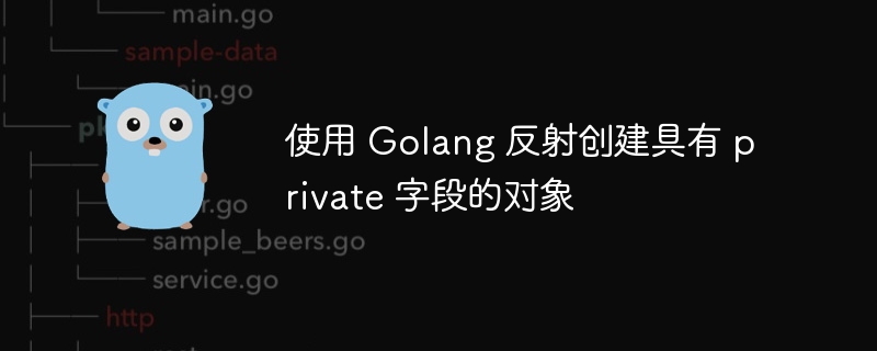 使用 Golang 反射创建具有 private 字段的对象