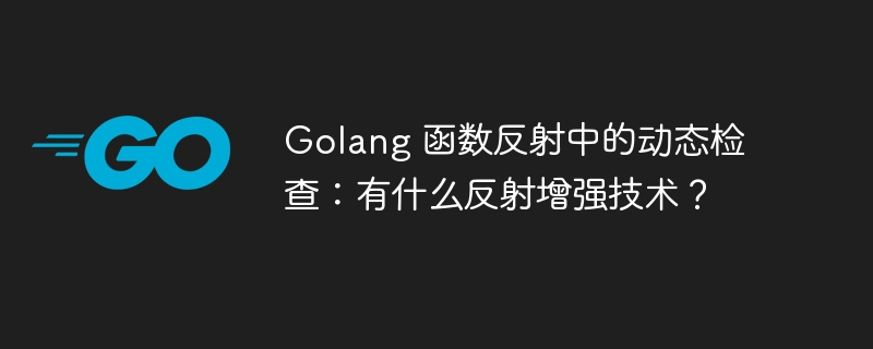 Golang 函数反射中的动态检查：有什么反射增强技术？