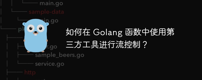 如何在 Golang 函数中使用第三方工具进行流控制？