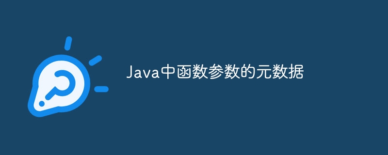 Java中函数参数的元数据