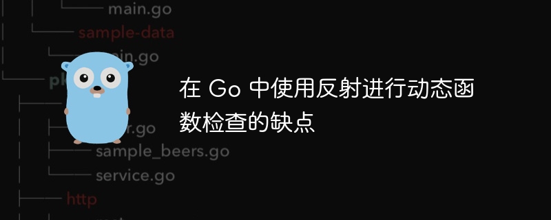 在 Go 中使用反射进行动态函数检查的缺点