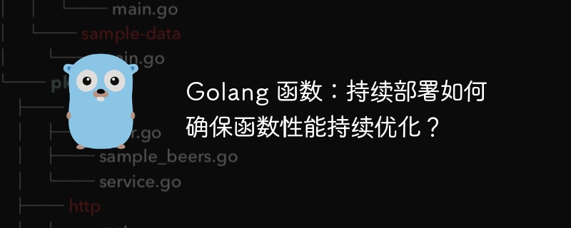 Golang 函数：持续部署如何确保函数性能持续优化？