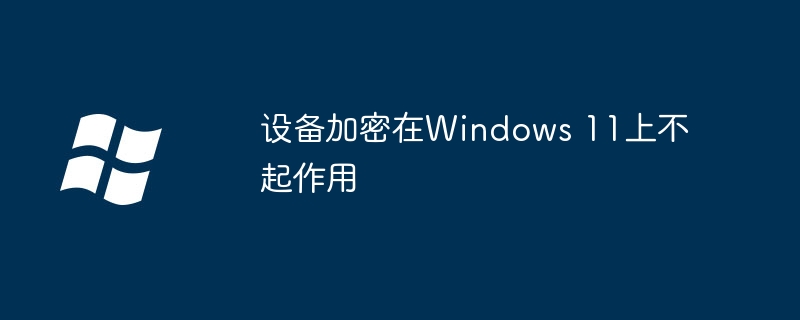 设备加密在Windows 11上不起作用