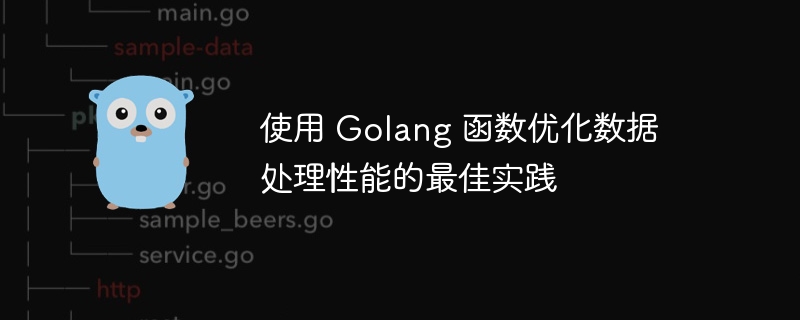 使用 Golang 函数优化数据处理性能的最佳实践