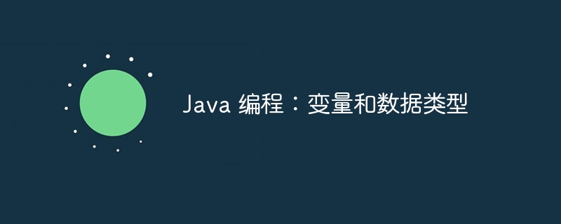 Java 编程：变量和数据类型