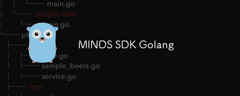 MINDS SDK Golang