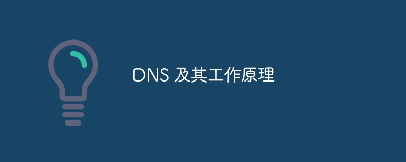 DNS 及其工作原理