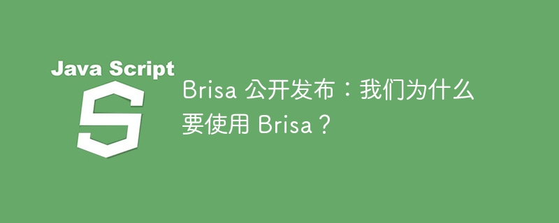 Brisa 公开发布：我们为什么要使用 Brisa？