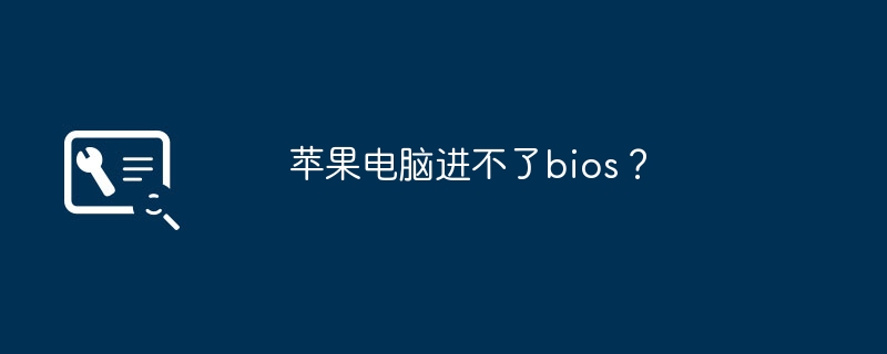 苹果电脑进不了bios？