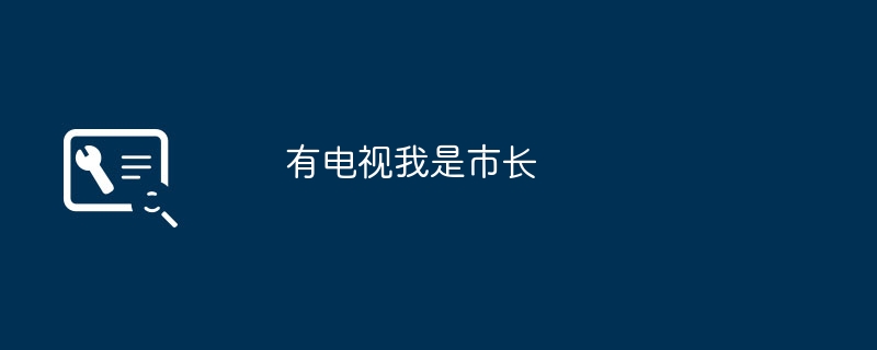 有电视我是市长