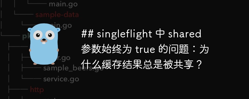 ## singleflight 中 shared 参数始终为 true 的问题：为什么缓存结果总是被共享？