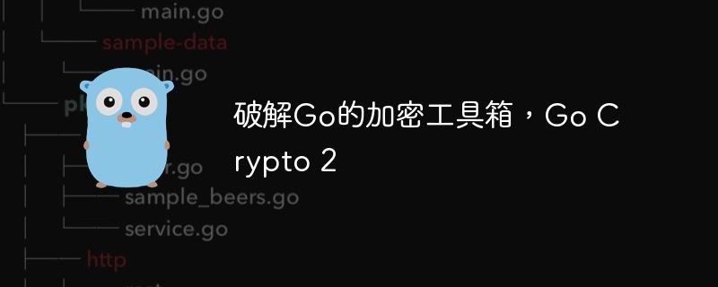 破解Go的加密工具箱，Go Crypto 2