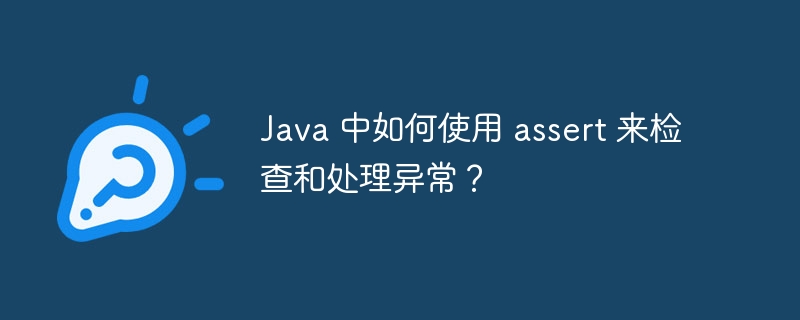 Java 中如何使用 assert 来检查和处理异常？