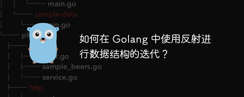 如何在 Golang 中使用反射进行数据结构的迭代？