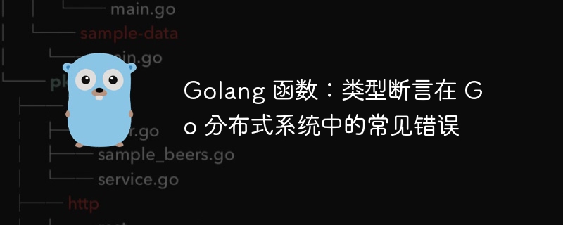 Golang 函数：类型断言在 Go 分布式系统中的常见错误