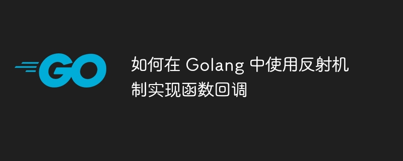 如何在 Golang 中使用反射机制实现函数回调